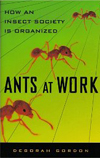 Gordon-Ants@Work